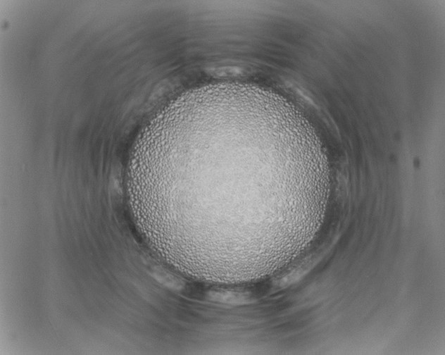 X0000060750561200512081946