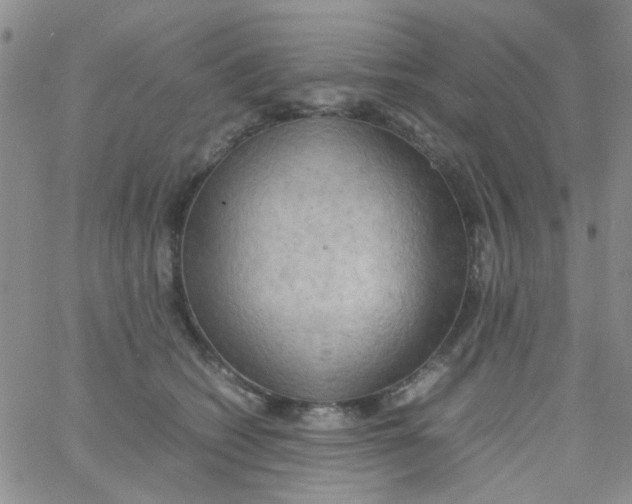 X0000060750562200512081946