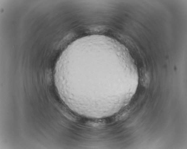 X0000060750563200512081946