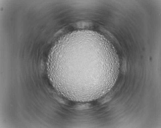 X0000060750569200512081946