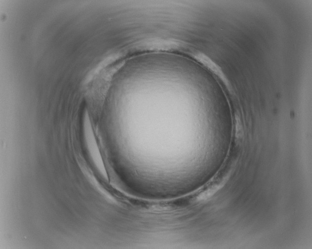 X0000060750581200512081945