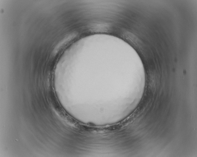 X0000060750586200512081945