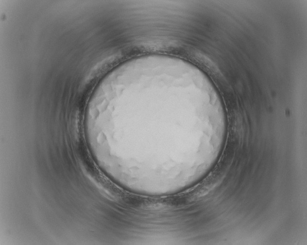 X0000060750590200512081945