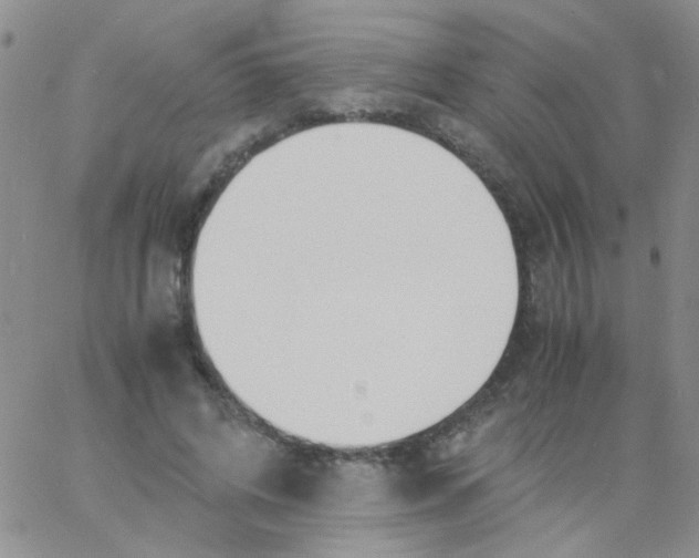 X0000060750592200512081945
