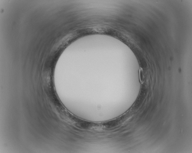 X0000060750595200512081945