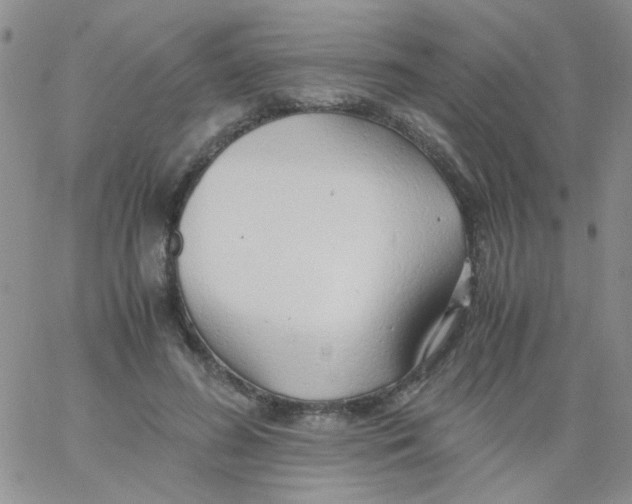 X0000060750596200512081945
