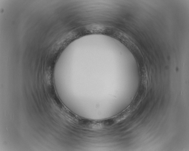 X0000060750604200512081945