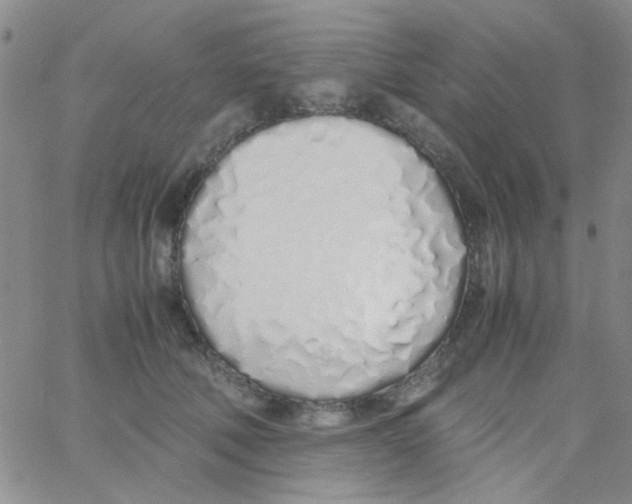 X0000060750610200512081945