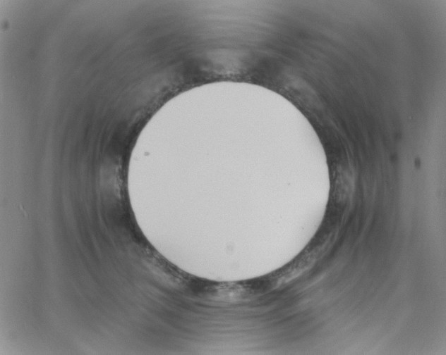 X0000060750612200512081945