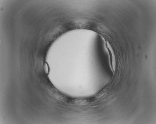 X0000060750615200512081945