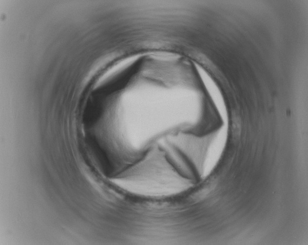 X0000060750626200512081944