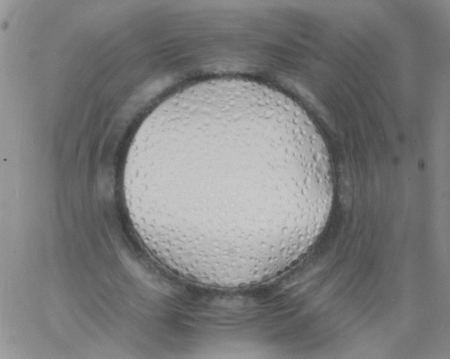 X0000060750631200512081944