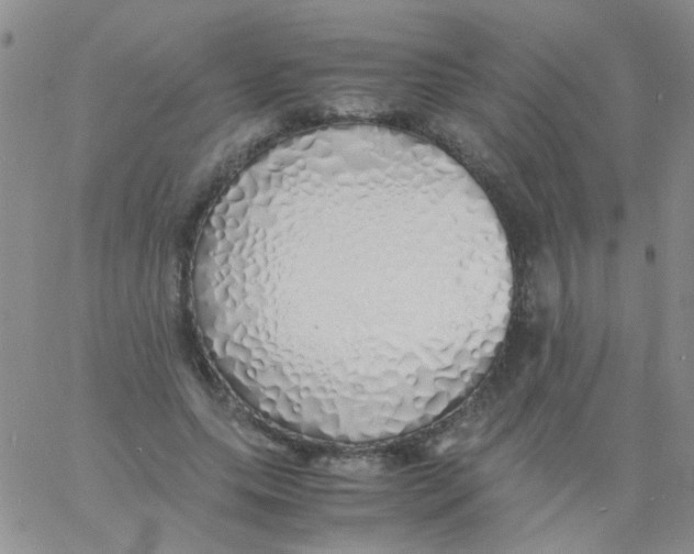 X0000060750639200512081944