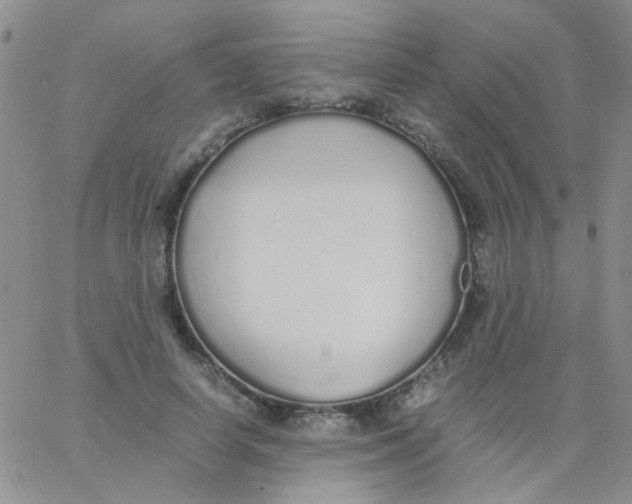 X0000060750642200512081944