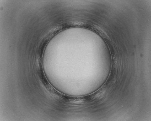 X0000060750643200512081944