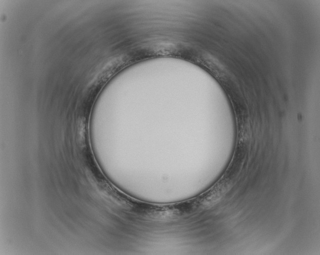 X0000060750646200512081944