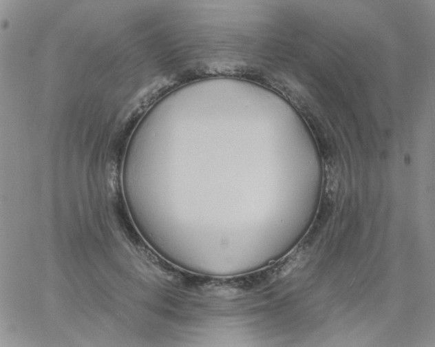 X0000060750648200512081944