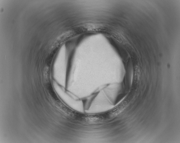 X0000060750650200512081944