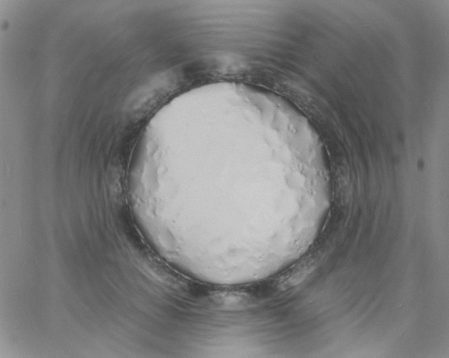 X0000060750654200512081944