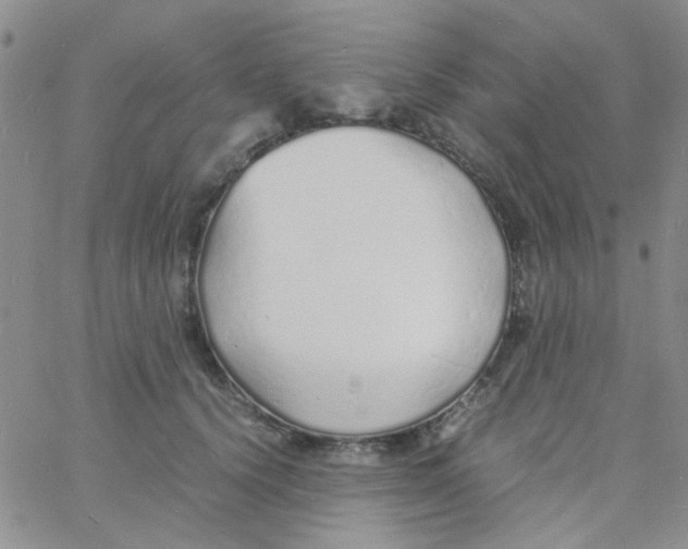 X0000060750656200512081944