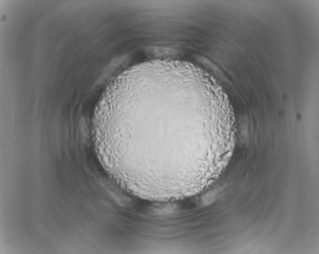 X0000060750667200512081944