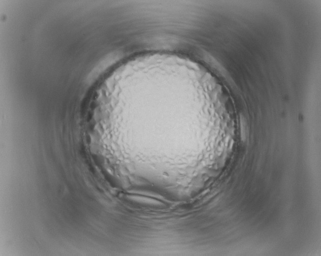 X0000060750675200512081944