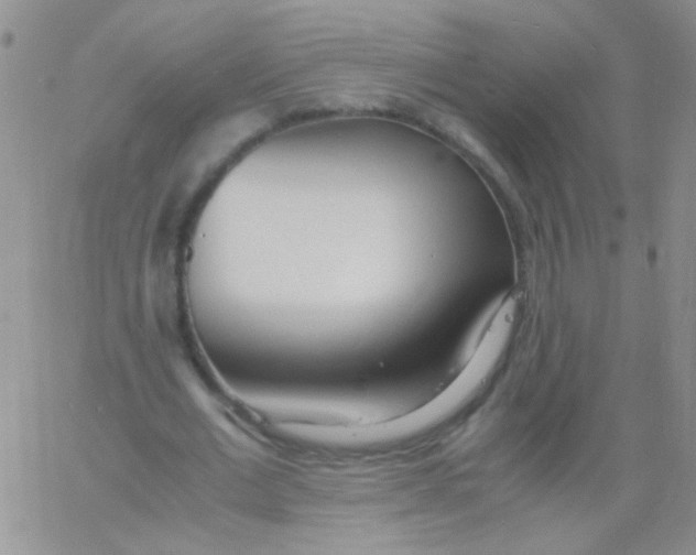 X0000060750677200512081944