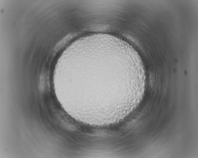 X0000060750682200512081944