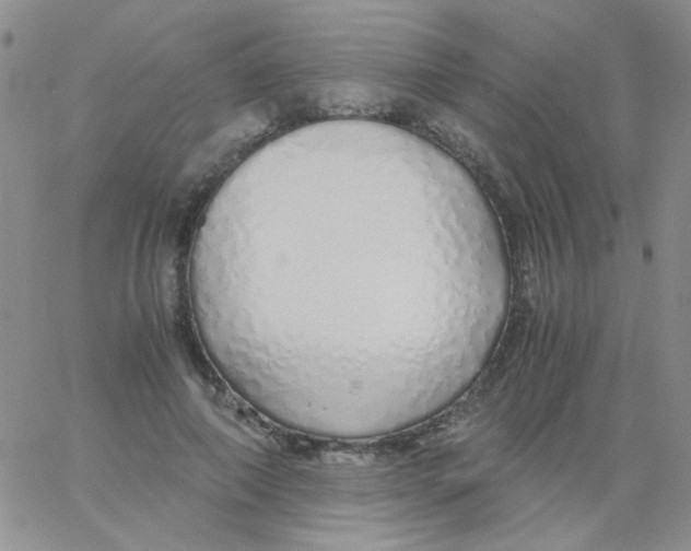 X0000060750690200512081943