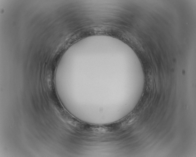 X0000060750698200512081943