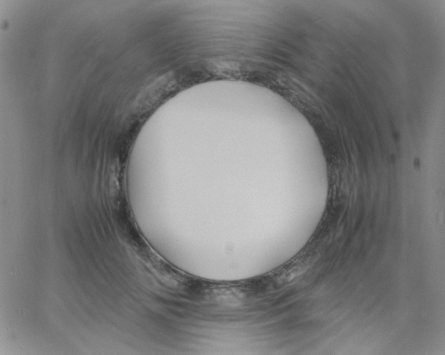 X0000060750702200512081943