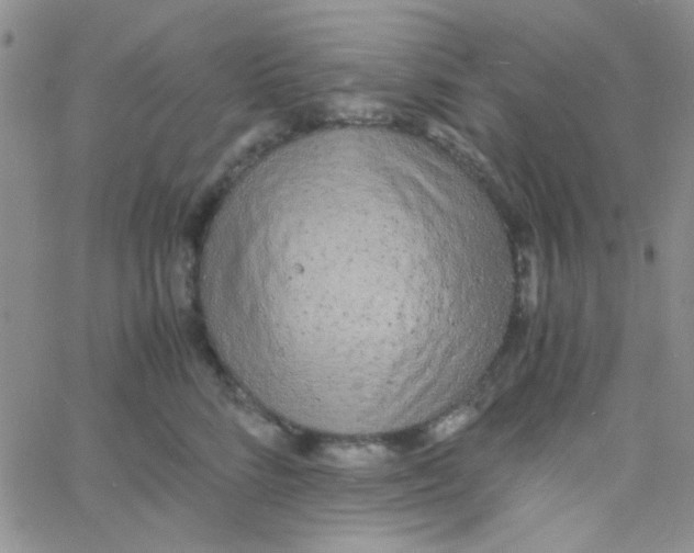 X0000060750712200512081943