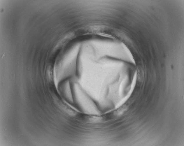 X0000060750718200512081943