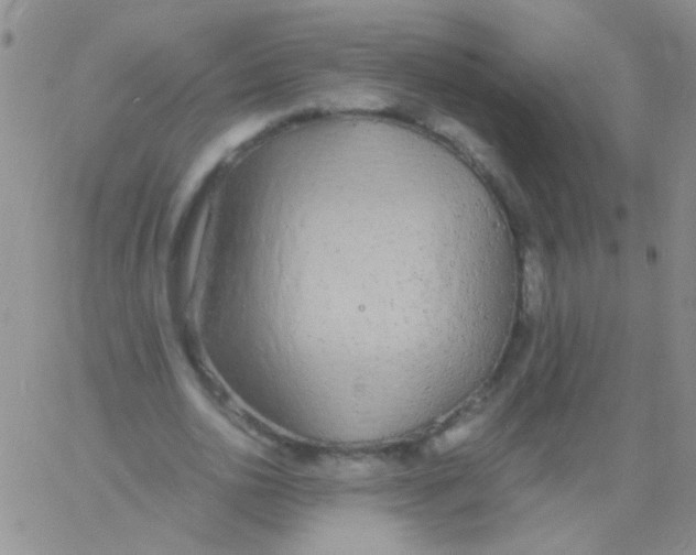 X0000060750726200512081942