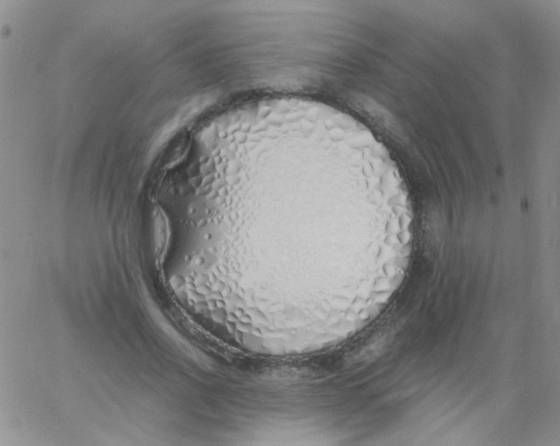 X0000060750734200512081942