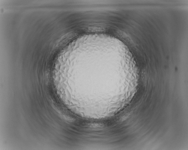 X0000060750741200512081942