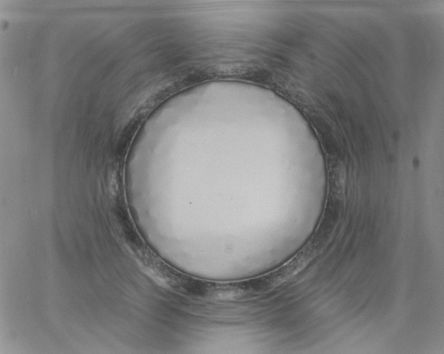 X0000060750746200512081943