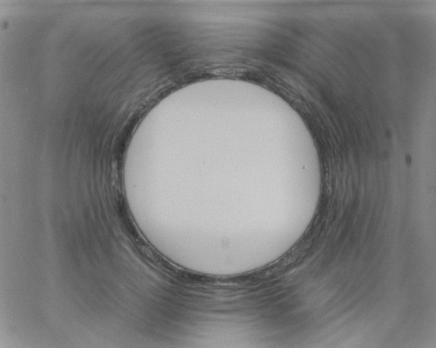 X0000060750748200512081943