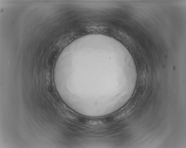 X0000060750749200512081943