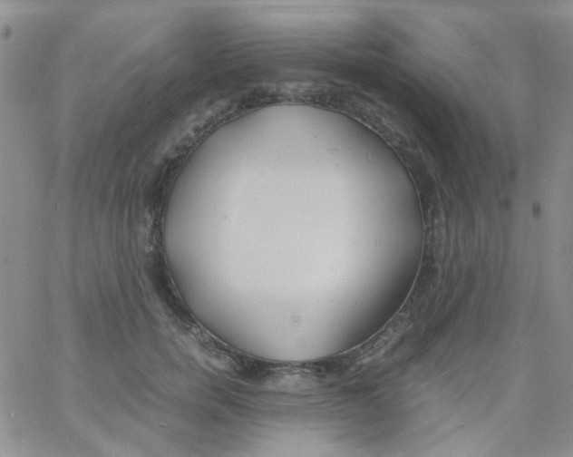 X0000060750750200512081943