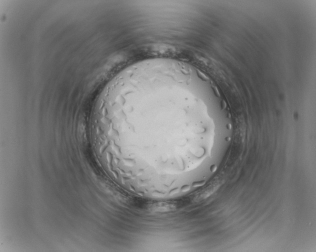 X0000060750754200512081943