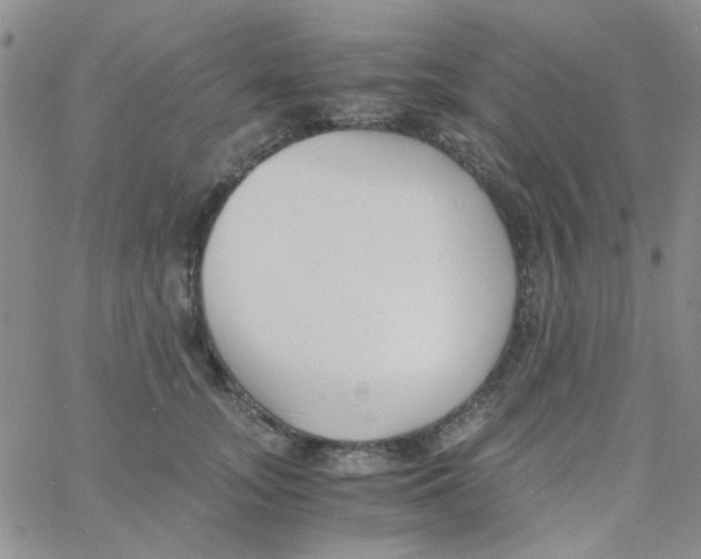 X0000060750755200512081943