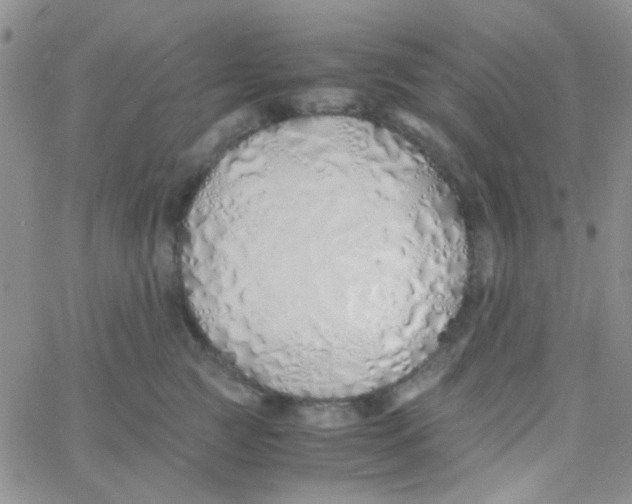 X0000060750761200512081943