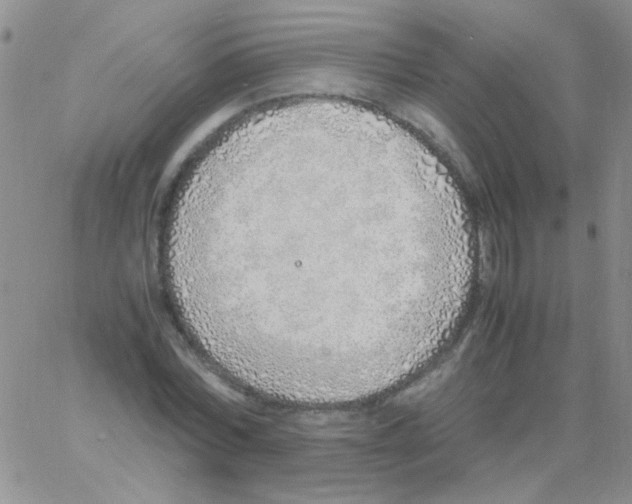 X0000060750780200512081942