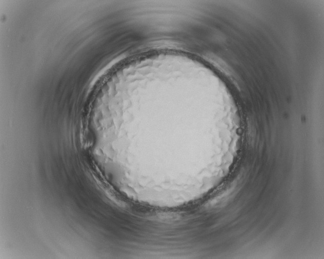 X0000060750782200512081942