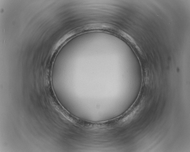 X0000060750786200512081942