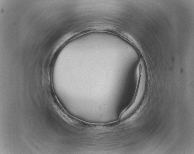 X0000060750787200512081942