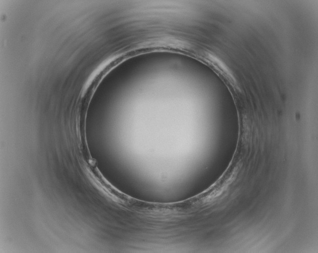 X0000060750788200512081942