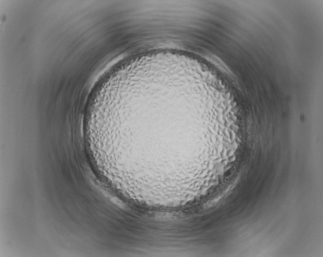 X0000060750790200512081942