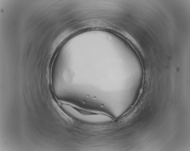 X0000060750791200512081942